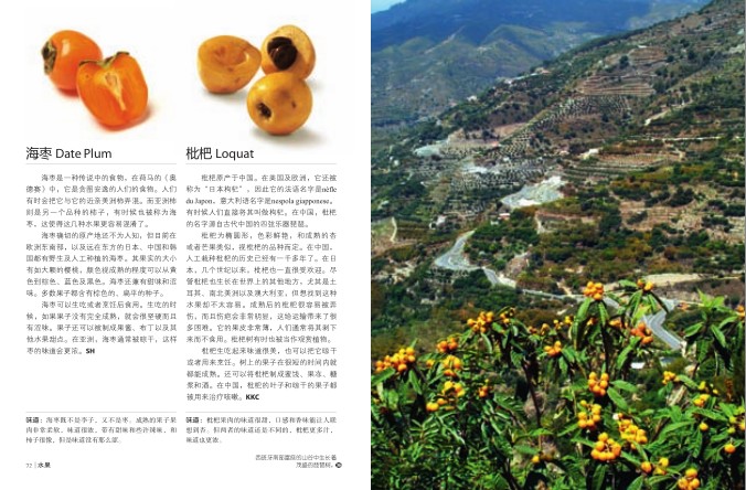QQ截图20231213122543.png