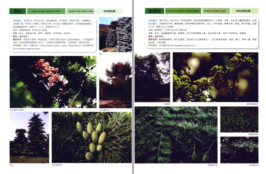 QQ截图20230809070017.png