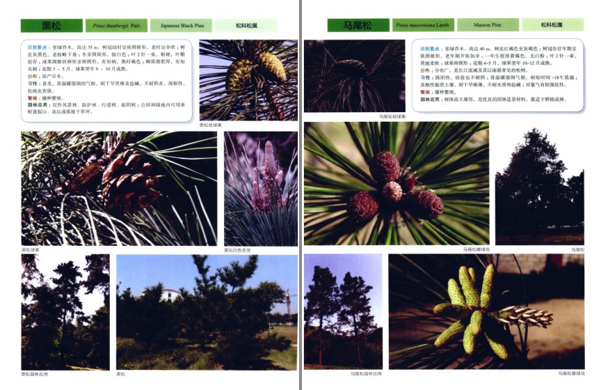 QQ截图20230809070034.png