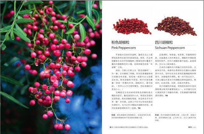 QQ截图20231213122740.png