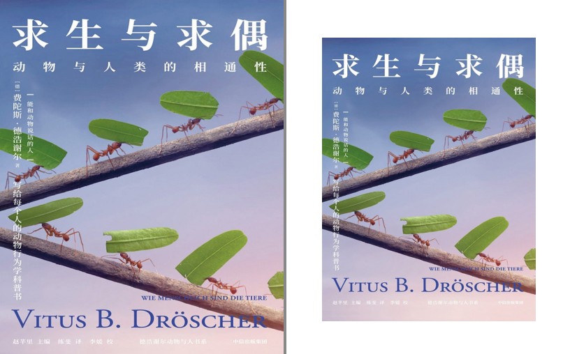 QQ截图20230721101506.png