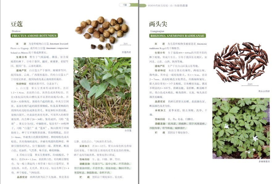 QQ截图20220930081412.png