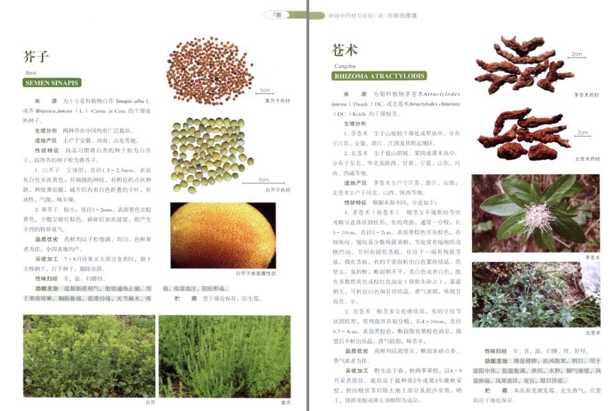QQ截图20220930081402.png