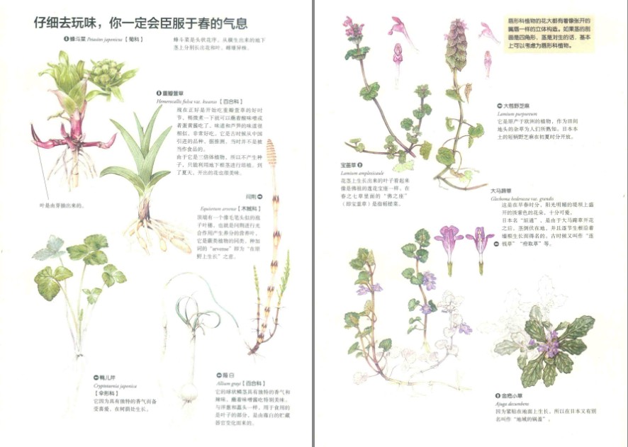 QQ截图20230626083155.png