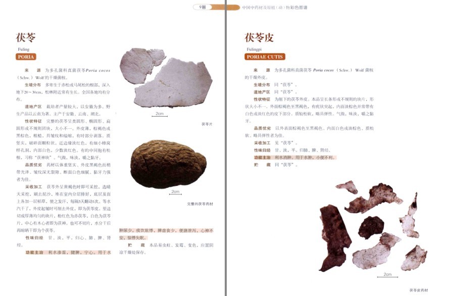 QQ截图20220930081536.png