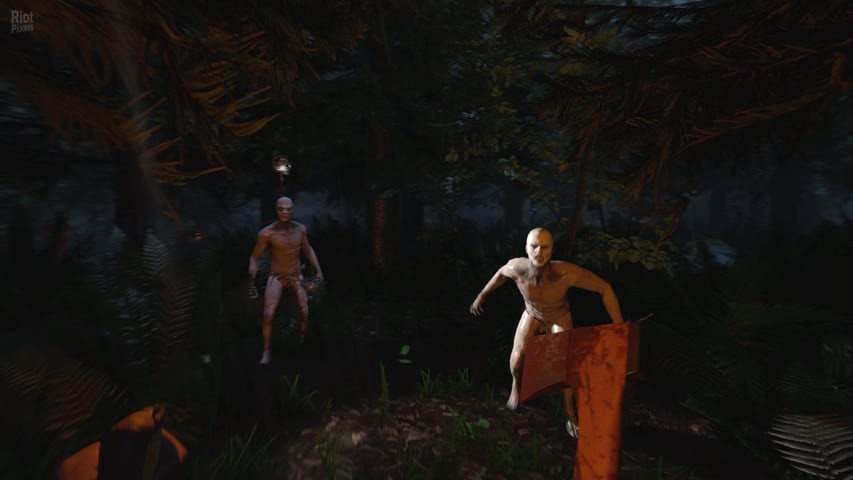 1622302569_s1.jpg