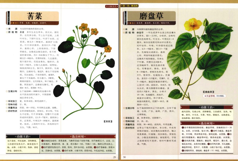 QQ截图20230816225303.png