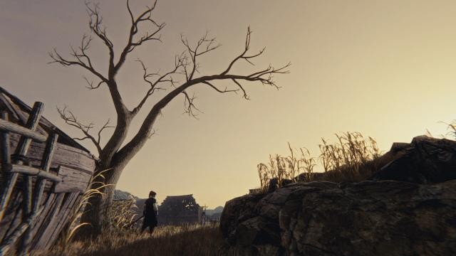 005.jpg