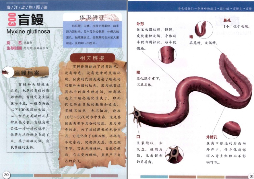QQ截图20230730153447.png