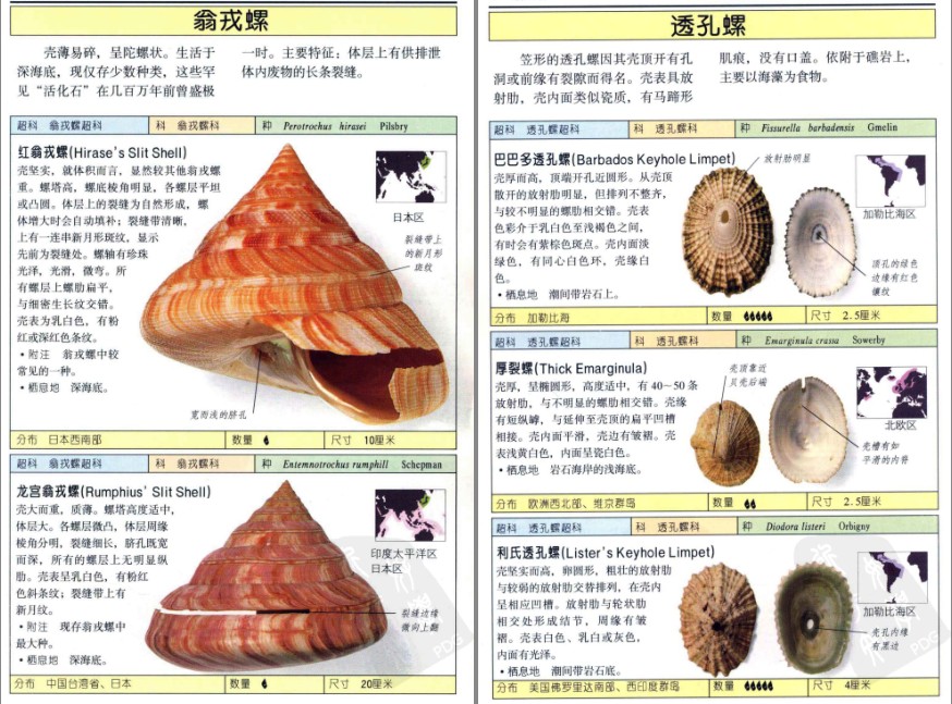 QQ截图20230604070630.png
