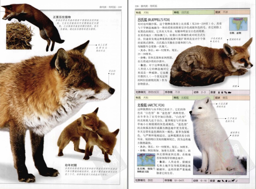 QQ截图20230607061203.png