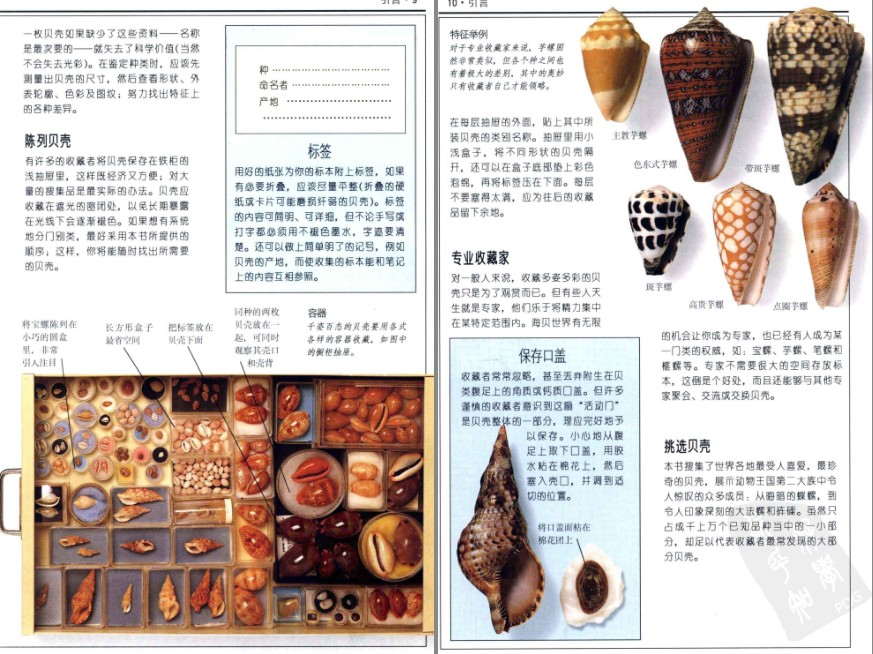 QQ截图20230604070546.png