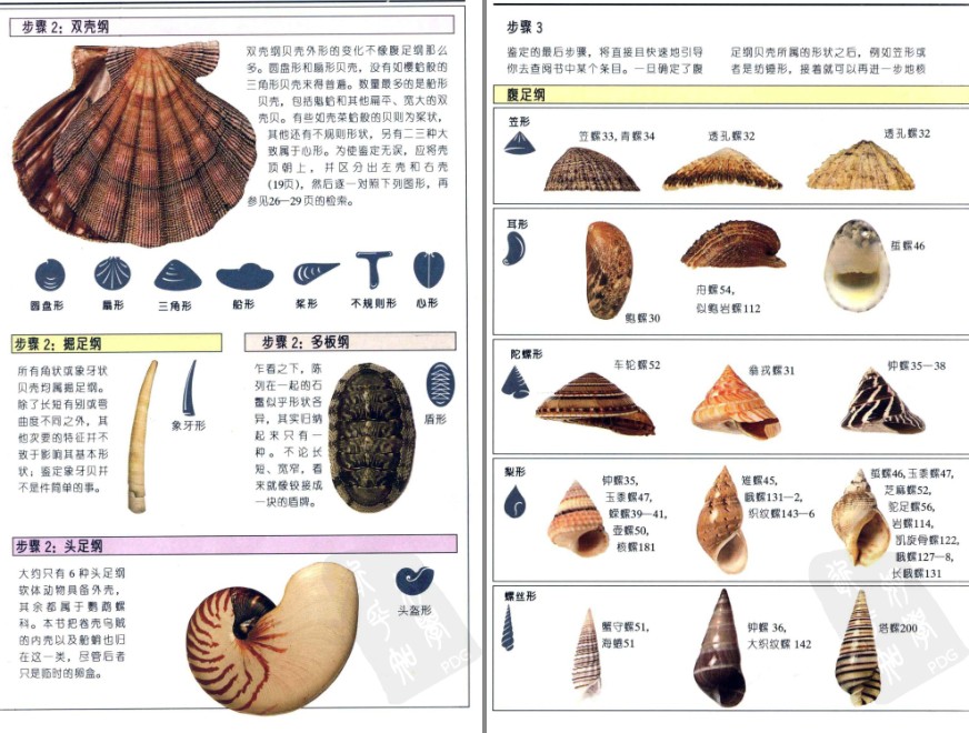 QQ截图20230604070613.png