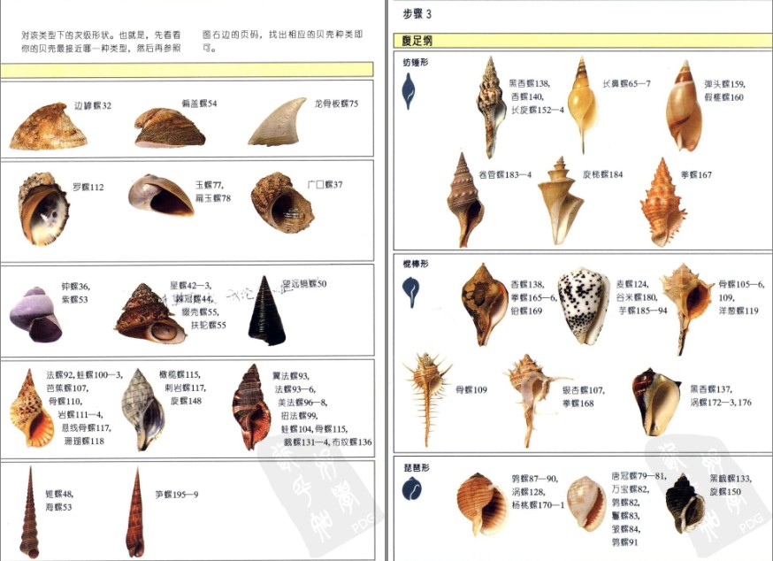 QQ截图20230604070620.png