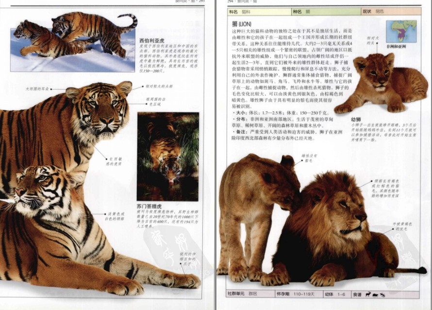 QQ截图20230607061246.png