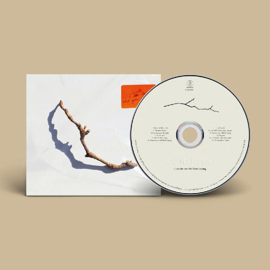 cd.jpg