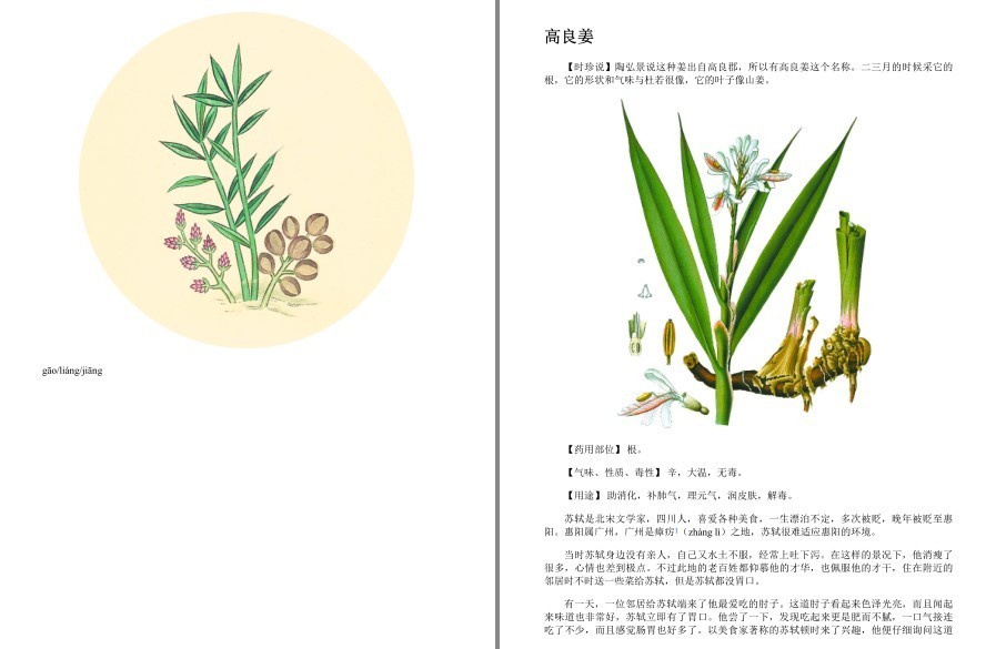 QQ截图20230402105143.png