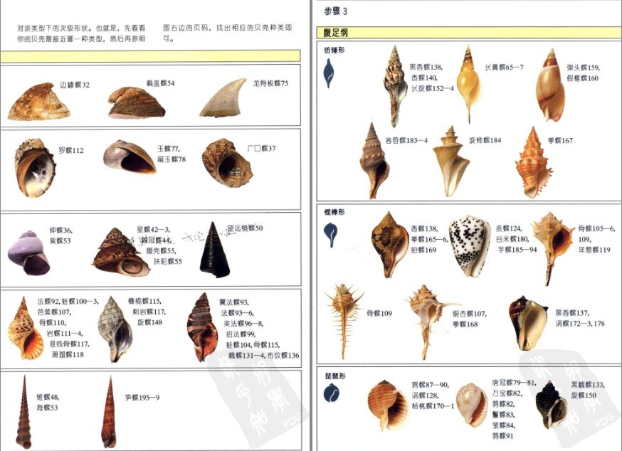 QQ截图20230604070620.png