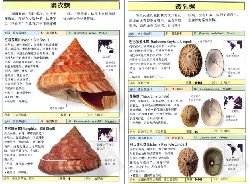 QQ截图20230604070630.png