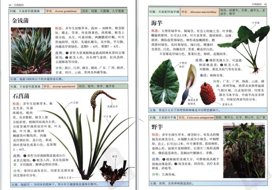 QQ截图20230604072356.png