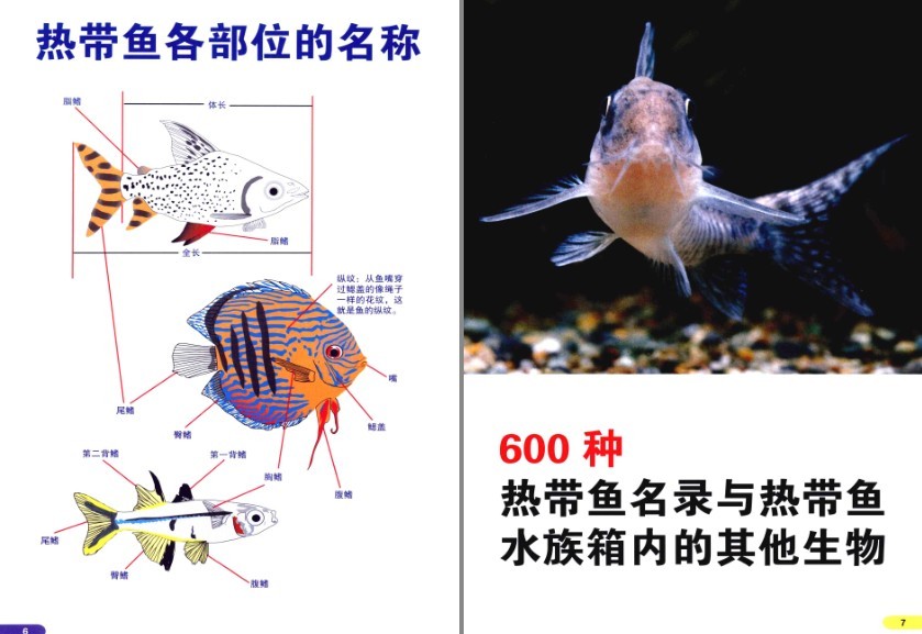QQ截图20230725084715.png