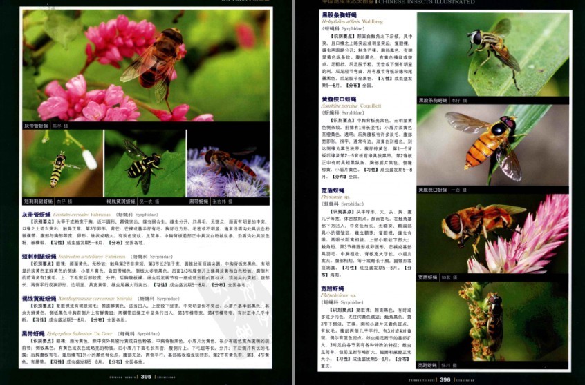 QQ截图20230609081533.png