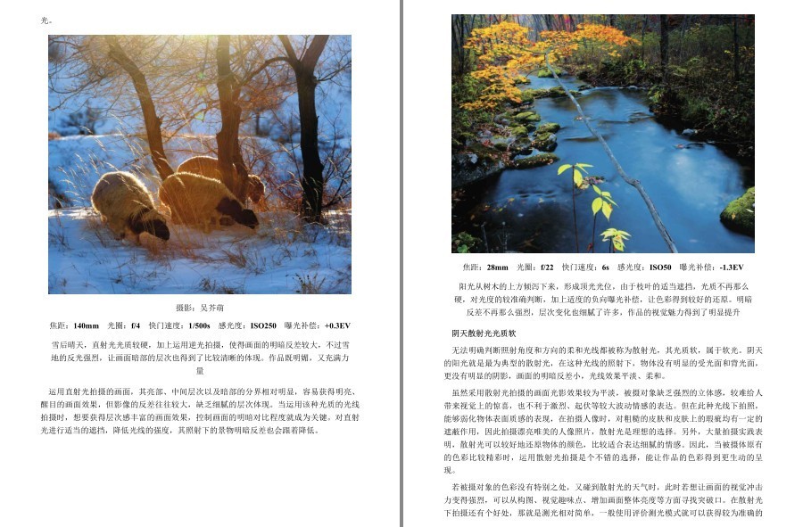 QQ截图20230112122809.png