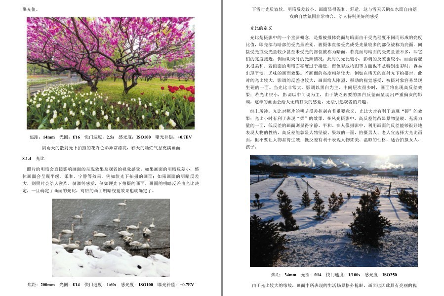 QQ截图20230112122816.png