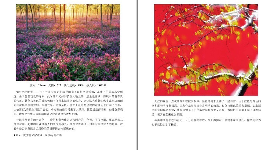 QQ截图20230112122916.png