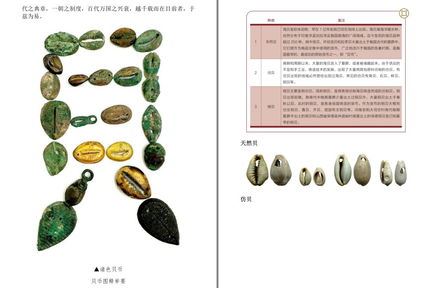 QQ截图20240608170553.png